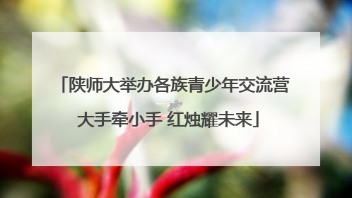 陕师大举办各族青少年交流营 大手牵小手 红烛耀未来